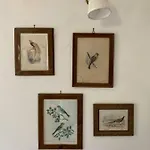 La Peschiera Bed & Breakfast San Lorenzo del Vallo