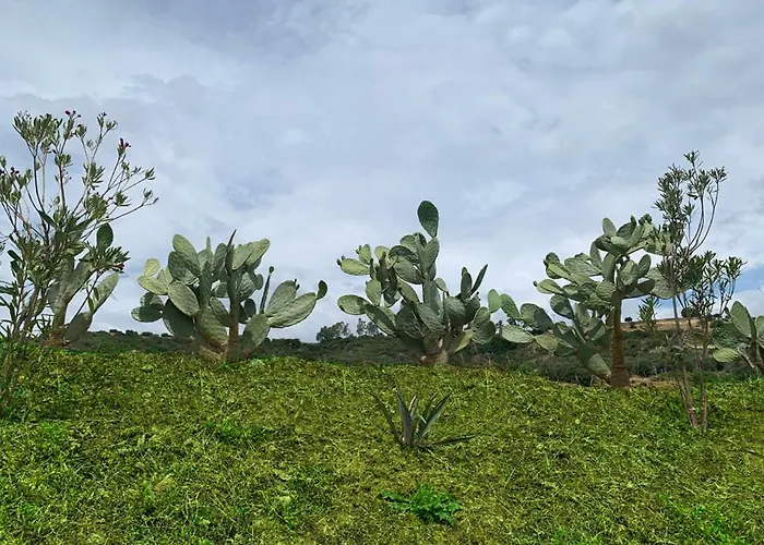 住宿加早餐酒店 La Peschiera 3*