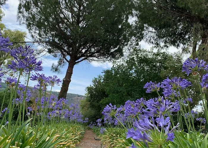 住宿加早餐酒店 La Peschiera San Lorenzo del Vallo